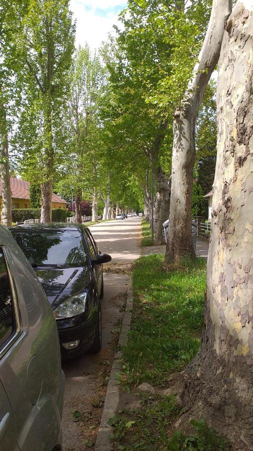 Heni Apartman Nagykanizsa Exteriör bild